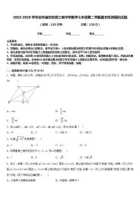 2022-2023学年吉林省农安县三岗中学数学七年级第二学期期末检测模拟试题含答案