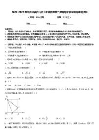 2022-2023学年吉林省白山市七年级数学第二学期期末质量跟踪监视试题含答案