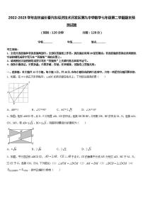 2022-2023学年吉林省长春汽车经济技术开发区第九中学数学七年级第二学期期末预测试题含答案