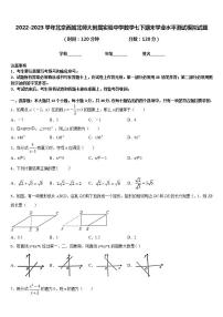 2022-2023学年北京西城北师大附属实验中学数学七下期末学业水平测试模拟试题含答案