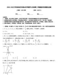 2022-2023学年嘉峪关市重点中学数学七年级第二学期期末检测模拟试题含答案