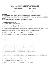 2022-2023学年咸宁市通城县七下数学期末经典试题含答案