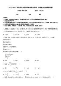 2022-2023学年四川省乐至县数学七年级第二学期期末经典模拟试题含答案