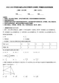 2022-2023学年四川省乐山市五中学数学七年级第二学期期末达标检测试题含答案