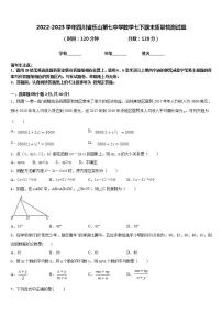 2022-2023学年四川省乐山第七中学数学七下期末质量检测试题含答案