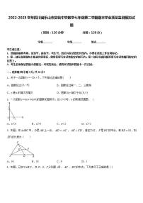 2022-2023学年四川省乐山市实验中学数学七年级第二学期期末学业质量监测模拟试题含答案