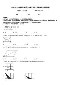 2022-2023学年四川省乐山市夹江中学七下数学期末调研试题含答案