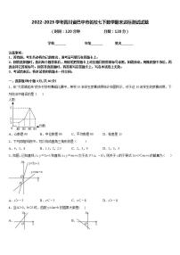 2022-2023学年四川省巴中市名校七下数学期末达标测试试题含答案