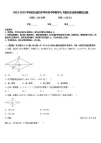 2022-2023学年四川省巴中学市巴中学数学七下期末达标检测模拟试题含答案