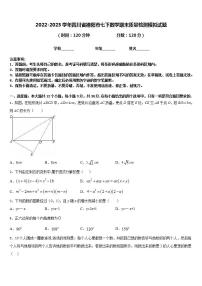 2022-2023学年四川省德阳市七下数学期末质量检测模拟试题含答案