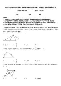 2022-2023学年四川省广元市青川县数学七年级第二学期期末质量检测模拟试题含答案