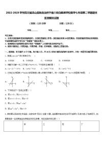 2022-2023学年四川省凉山彝族自治州宁南三峡白鹤滩学校数学七年级第二学期期末监测模拟试题含答案