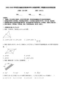 2022-2023学年四川省南充市陈寿中学七年级数学第二学期期末达标检测试题含答案