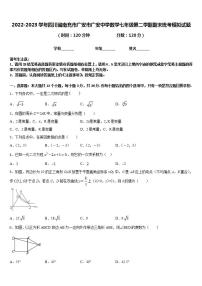 2022-2023学年四川省南充市广安市广安中学数学七年级第二学期期末统考模拟试题含答案