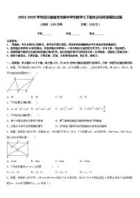 2022-2023学年四川省南充市阆中学市数学七下期末达标检测模拟试题含答案