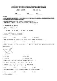 2022-2023学年四川省宁南县七下数学期末监测模拟试题含答案