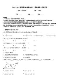 2022-2023学年四川省宜宾市名校七下数学期末经典试题含答案