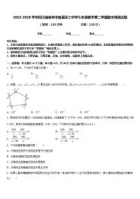 2022-2023学年四川省宜宾市南溪区三中学七年级数学第二学期期末预测试题含答案