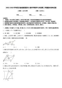 2022-2023学年四川省成都简阳市三星中学数学七年级第二学期期末统考试题含答案