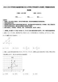 2022-2023学年四川省成都市锦江区七中学育才学校数学七年级第二学期期末质量检测试题含答案