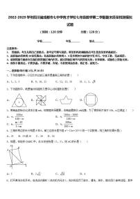 2022-2023学年四川省成都市七中学育才学校七年级数学第二学期期末质量检测模拟试题含答案