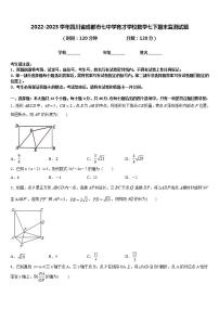 2022-2023学年四川省成都市七中学育才学校数学七下期末监测试题含答案