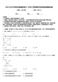 2022-2023学年四川省成都市师大一中学七下数学期末学业质量监测模拟试题含答案