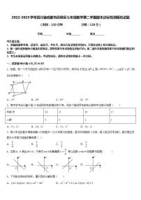 2022-2023学年四川省成都市武侯区七年级数学第二学期期末达标检测模拟试题含答案