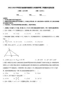 2022-2023学年四川省成都市新都区七年级数学第二学期期末监测试题含答案