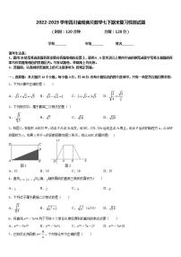 2022-2023学年四川省观音片数学七下期末复习检测试题含答案