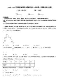 2022-2023学年四川省简阳市镇金区数学七年级第二学期期末联考试题含答案