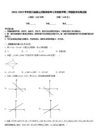 2022-2023学年四川省眉山洪雅县联考七年级数学第二学期期末经典试题含答案