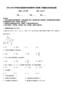 2022-2023学年四川省资阳市安岳县数学七年级第二学期期末达标测试试题含答案