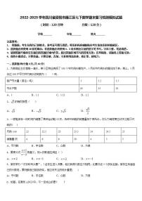 2022-2023学年四川省资阳市雁江区七下数学期末复习检测模拟试题含答案