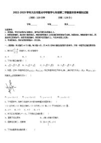 2022-2023学年大庆市重点中学数学七年级第二学期期末统考模拟试题含答案