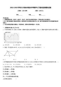 2022-2023学年大兴安岭市重点中学数学七下期末监测模拟试题含答案