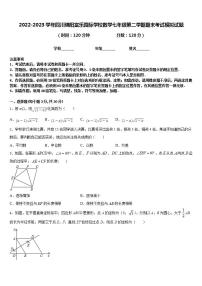 2022-2023学年四川绵阳富乐园际学校数学七年级第二学期期末考试模拟试题含答案