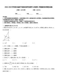 2022-2023学年四川省遂宁高级实验学校数学七年级第二学期期末联考模拟试题含答案