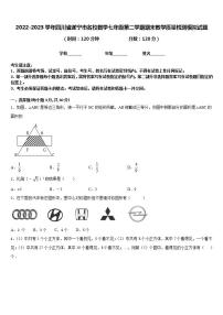 2022-2023学年四川省遂宁市名校数学七年级第二学期期末教学质量检测模拟试题含答案