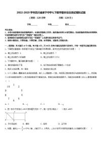 2022-2023学年四川省遂宁中学七下数学期末综合测试模拟试题含答案