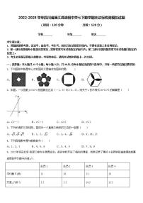 2022-2023学年四川省通江县涪阳中学七下数学期末达标检测模拟试题含答案