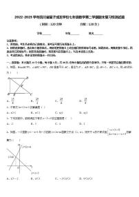 2022-2023学年四川省望子成龙学校七年级数学第二学期期末复习检测试题含答案