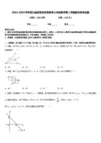 2022-2023学年四川省资阳安岳县联考七年级数学第二学期期末统考试题含答案