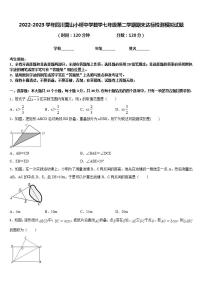 2022-2023学年四川营山小桥中学数学七年级第二学期期末达标检测模拟试题含答案