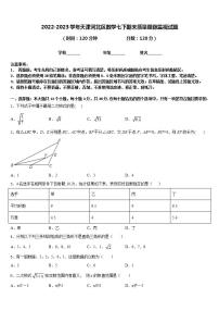 2022-2023学年天津河北区数学七下期末质量跟踪监视试题含答案