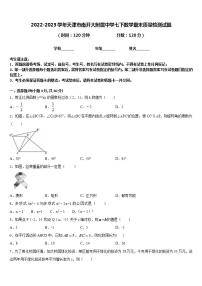 2022-2023学年天津市南开大附属中学七下数学期末质量检测试题含答案