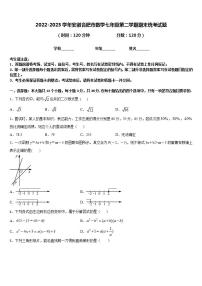 2022-2023学年安徽合肥市数学七年级第二学期期末统考试题含答案