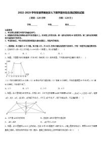 2022-2023学年安徽界首地区七下数学期末综合测试模拟试题含答案