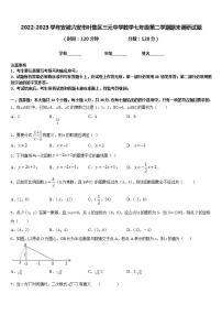 2022-2023学年安徽六安市叶集区三元中学数学七年级第二学期期末调研试题含答案