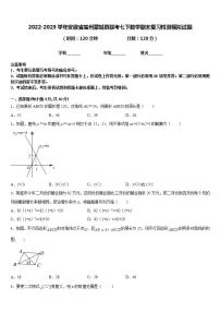 2022-2023学年安徽省亳州蒙城县联考七下数学期末复习检测模拟试题含答案